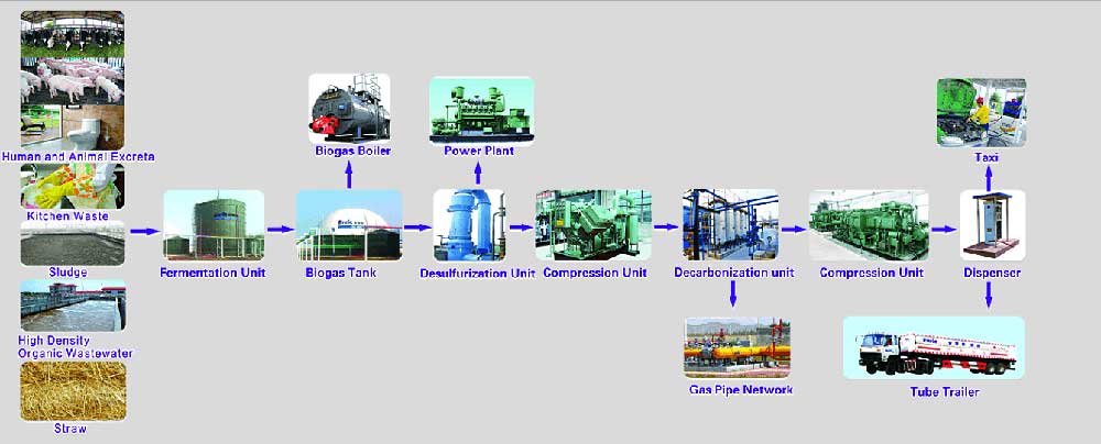 Biogas System Solution